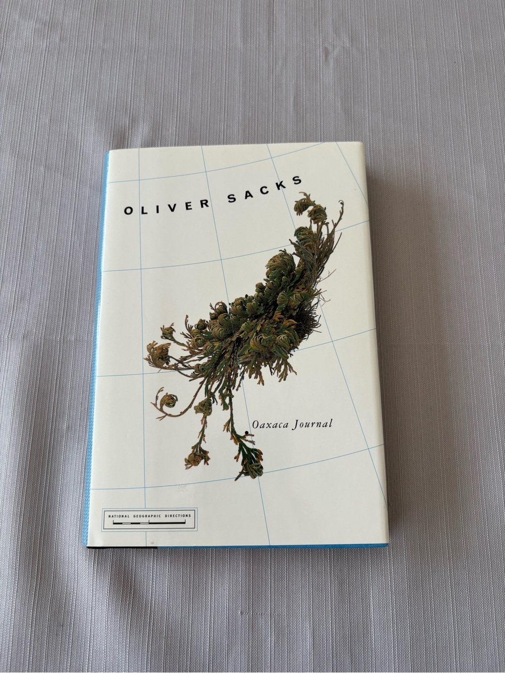 Oaxaca Journal Hardcover in White and Blue